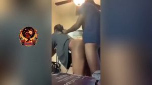 bangin doggy pro on stellaplusxyz porn thumbnail