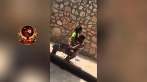 public yard porn video on stellaplusxyz thumbnail