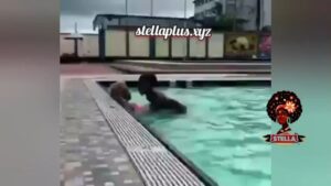 Pool leaked sex video on stellaplus.xyz thumbnail 1