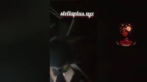 StellaPlus xyz june 2025 sex video leaks african best porn 63 thumbnail 1